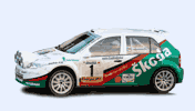 wurth partner rallye vsetin 2007 - skoda fabia s1600 - honza kopecky