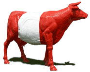 the austrian cow